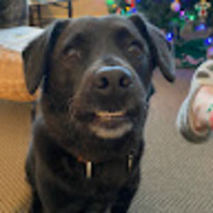 Meet your Posher, Cynthia